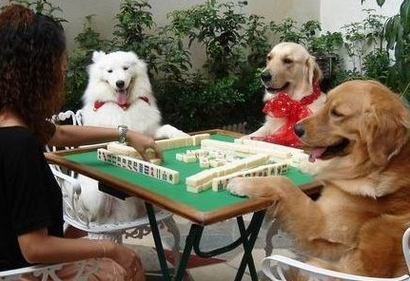 什么？代理友情漆就可做百萬富翁